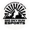 Big Sky Sun Esports